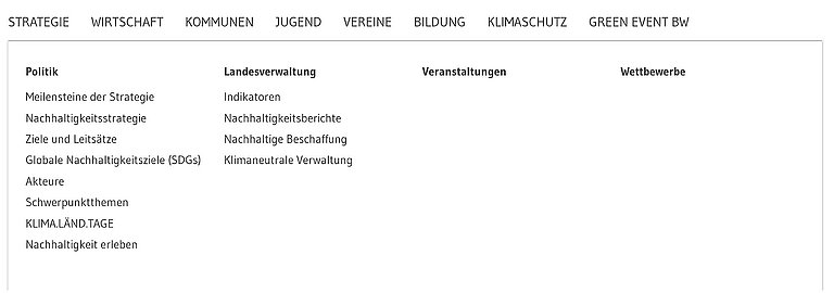 Ein Sreenshot zeigt aus dem Header die Zeile mit den Haupt-Naviagtionspunkten. Dazu auch das geöffnete Megamenü mit den wichtigsten Detailseiten.