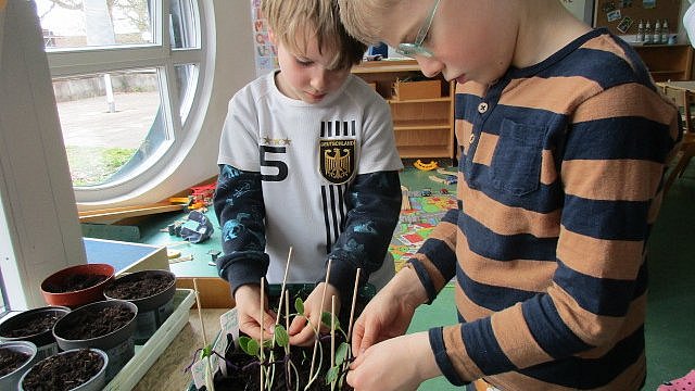 Und dann mussten sie wieder einmal viel Geduld aufbringen, bis eines Morgens der erste Ruf erging „Da ist was zu sehen!".