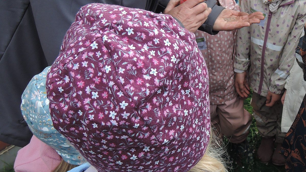 Wie sehen Samen überhaupt aus? Das wollten die Kinder erst einmal unter die Lupe nehmen.