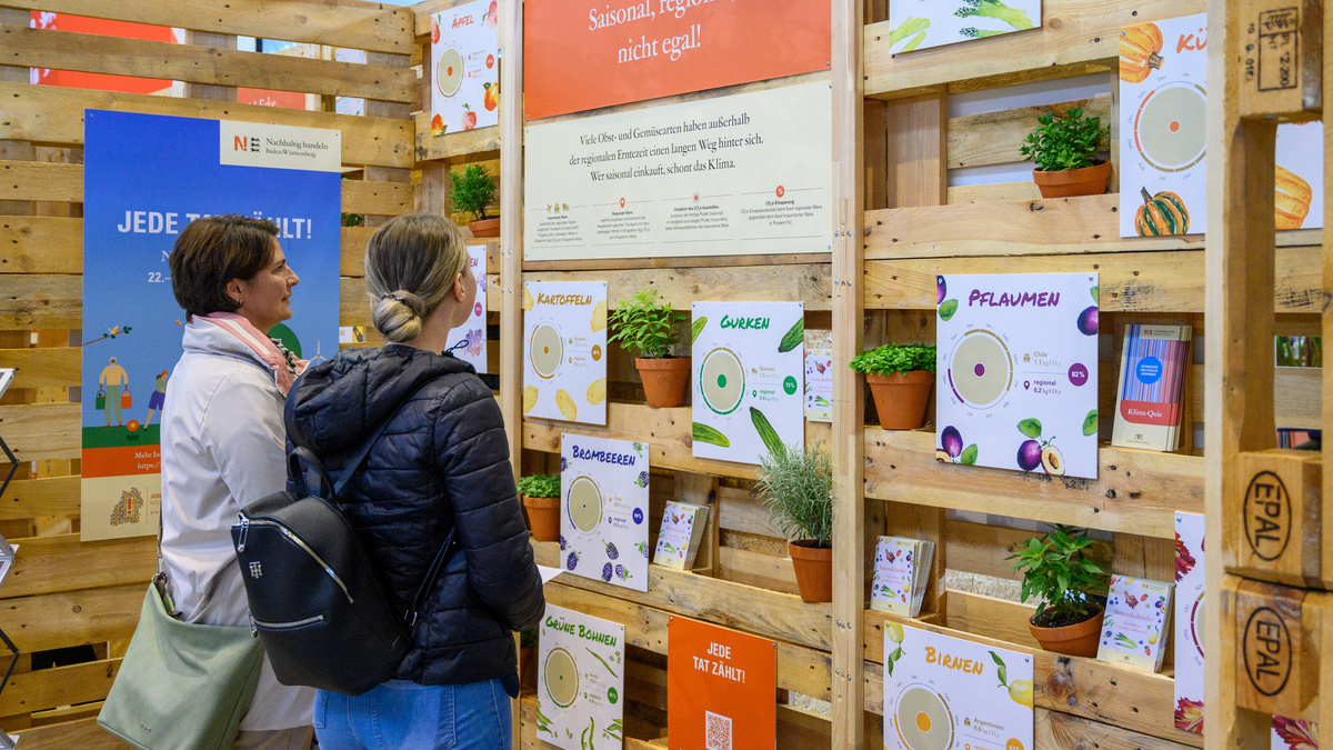 Zwei Frauen schauen sich eine Wand zum Thema saisonale und regionale Lebensmittel an.