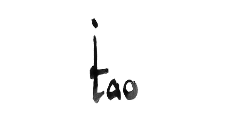 Das Logo der TAO Trans Atmospheric Operations GmbH.