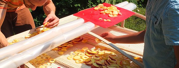 Auf einem selbstgebauten Dörrgerät wird Obst getrocknet.