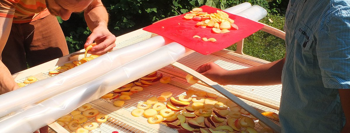 Auf einem selbstgebauten Dörrgerät wird Obst getrocknet.