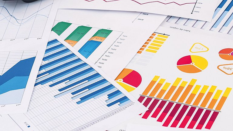 Dargestellt sind verschiedene Diagrammtypen: Tortendiagramme und Balkendiagramme.