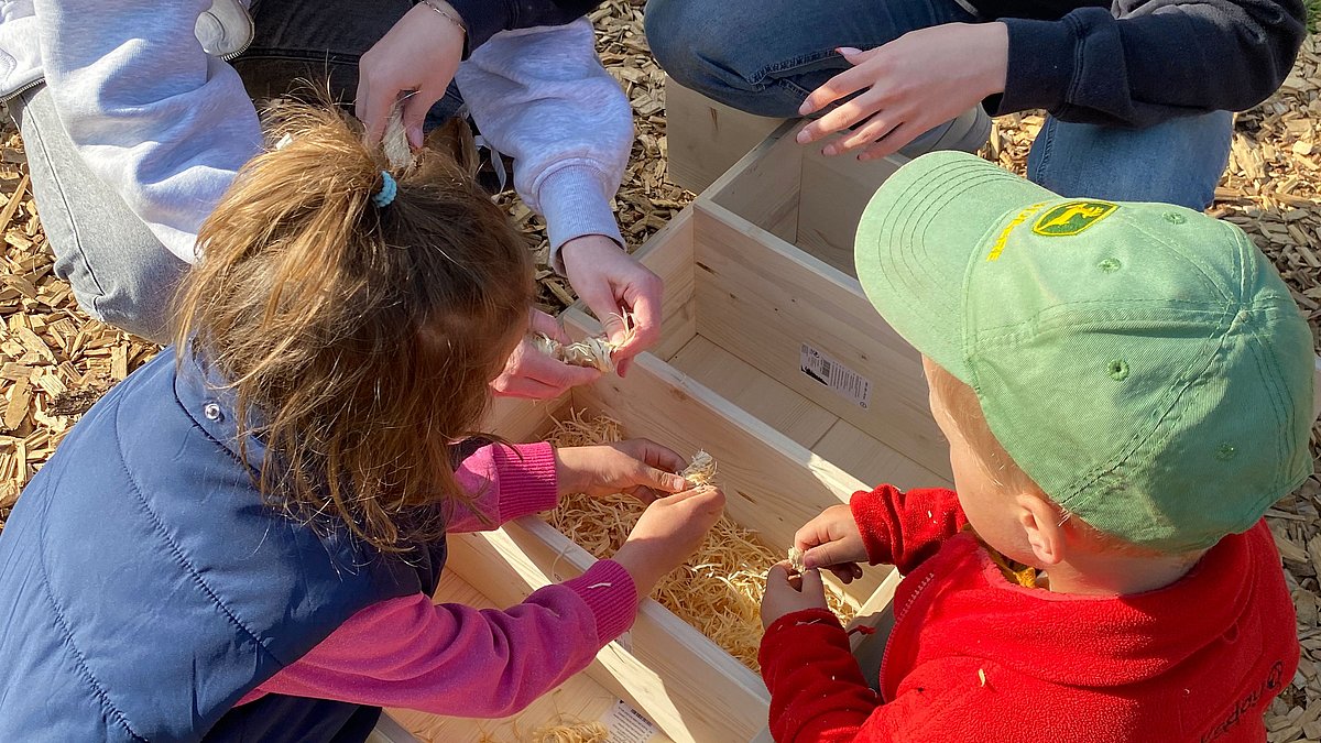 Hier füllen die Kinder das Insektenhotel mit Holzwolle.