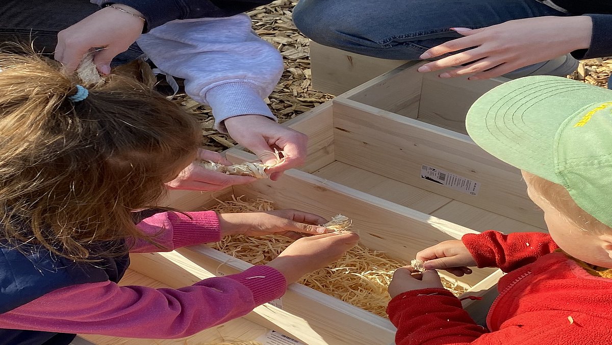 Hier füllen die Kinder das Insektenhotel mit Holzwolle.