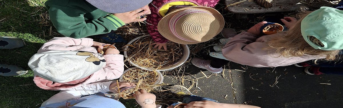 Mini-Insektenhotels (Tontöpfe) bemalen und befüllen.