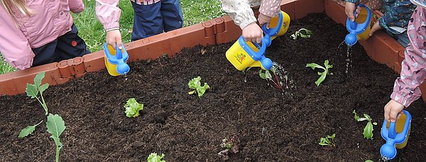 Bereits vorhandene Pflänzchen wollen immer gut gepflegt werden.