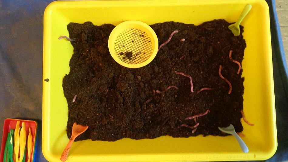 Die Kinder lieben es nach den Würmern zu suchen.