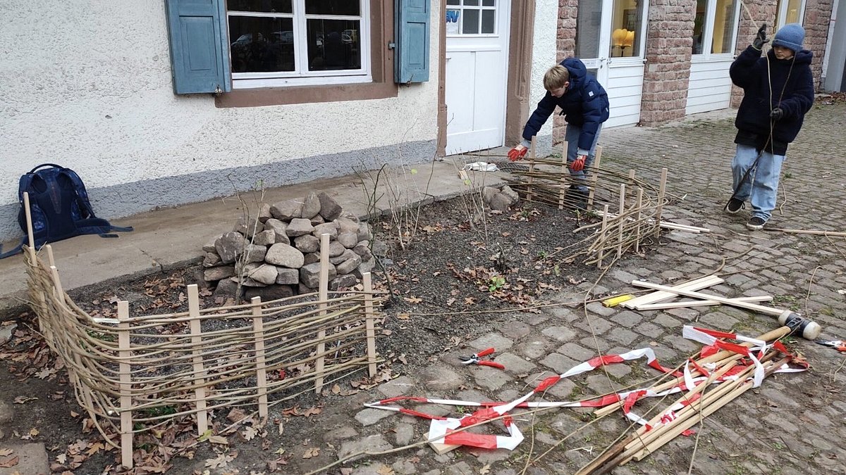 Aufwertung eines ökologischen Trittsteines am Thadden-Gymnasium