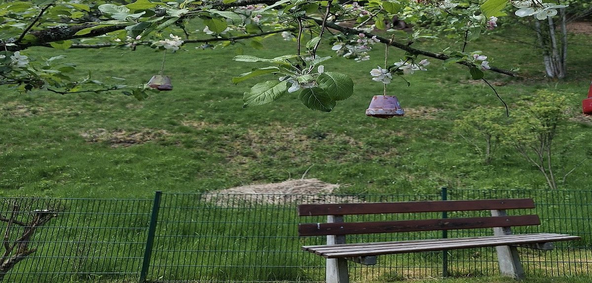 Die Mini-Insektenhotels hängen unter anderem an Bäumen im Garten.
