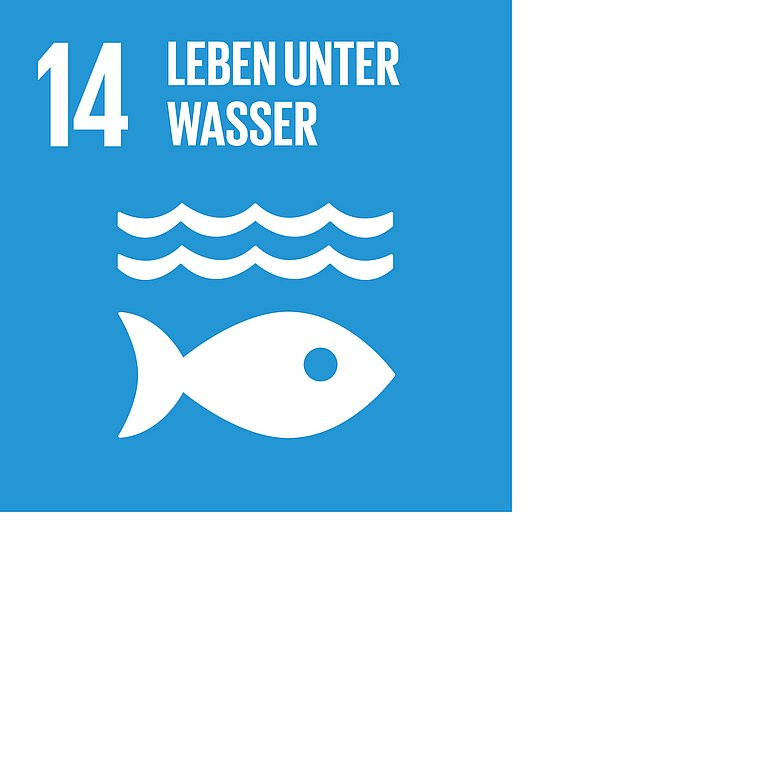 Icon für SDG 14 Leben unter dem Wasser, dargestellt wird ein Fisch unter zwei Wellen auf blauem Hintergrund.