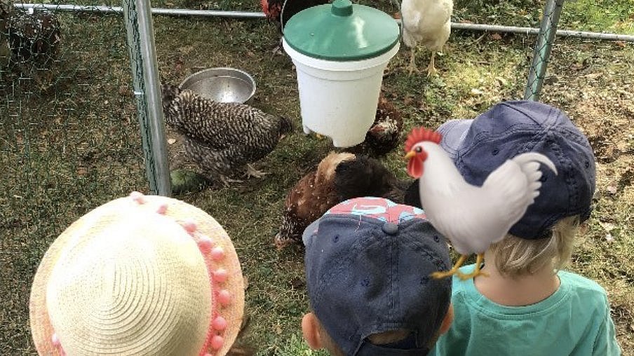 Die Kinder hatten gerade den Futternapf gefüllt.