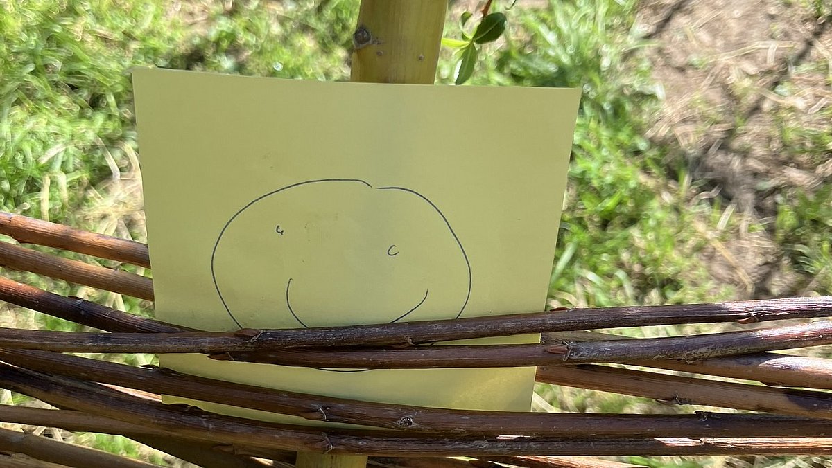 Die Kinder bewerten das Weiden- Tippi . Sie überlegen was gefällt ihnen an der Hütte und was nicht. Sie überlegen sich was sie noch gerne alles hätten.