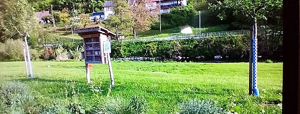 Naschgarten der Wildbienen