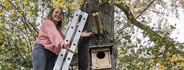 Aufhängen eines Waldkautznistkastens am Bunsen-Gymnasium