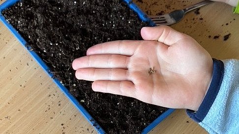 Wir schauen uns die Samen an und säen.