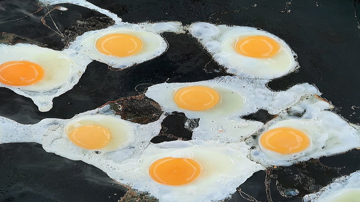 Unsere Eier schmecken besonders gut.