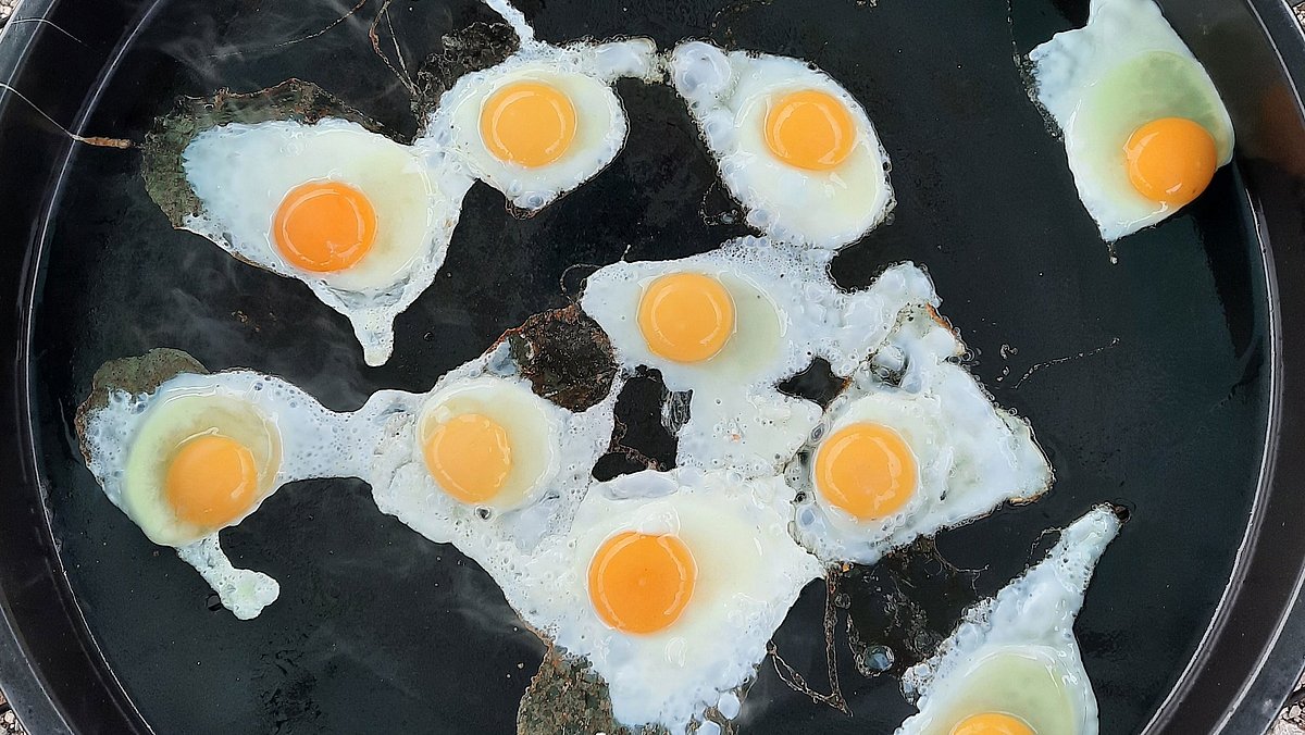Unsere Eier schmecken besonders gut.