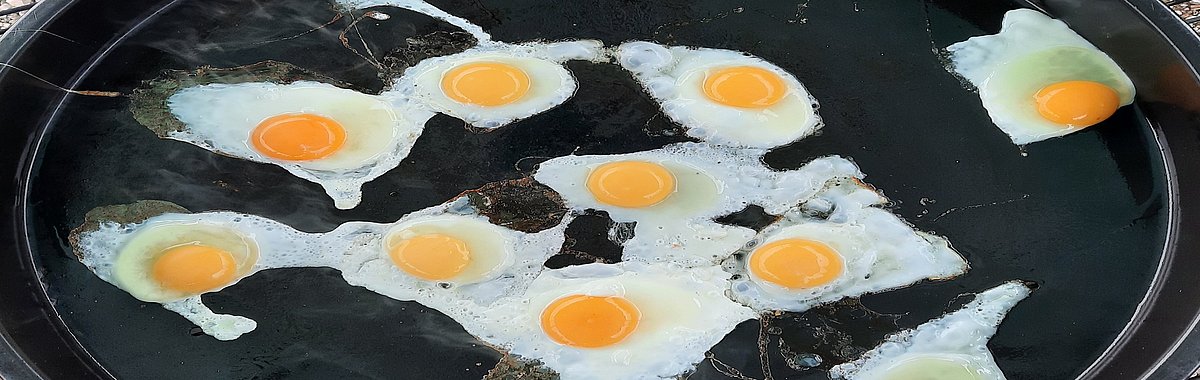 Unsere Eier schmecken besonders gut.