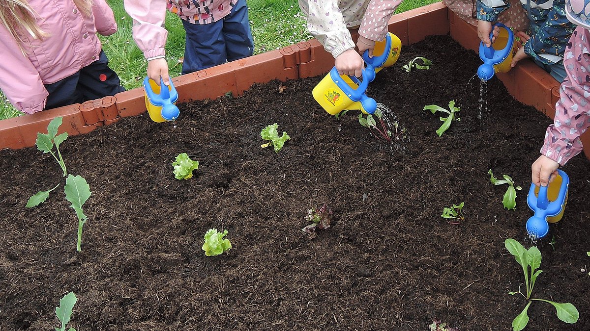 Bereits vorhandene Pflänzchen wollen immer gut gepflegt werden.