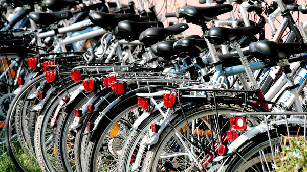 Viele Fahrräder stehen nebeneinander angeordnet auf einer Wiese.