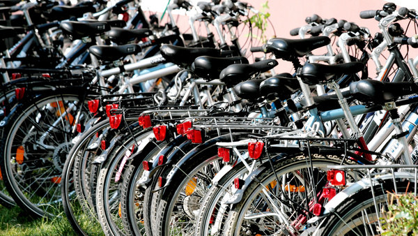 Viele Fahrräder stehen nebeneinander angeordnet auf einer Wiese.