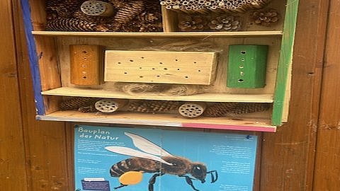 Das fertige Insektenhotel.