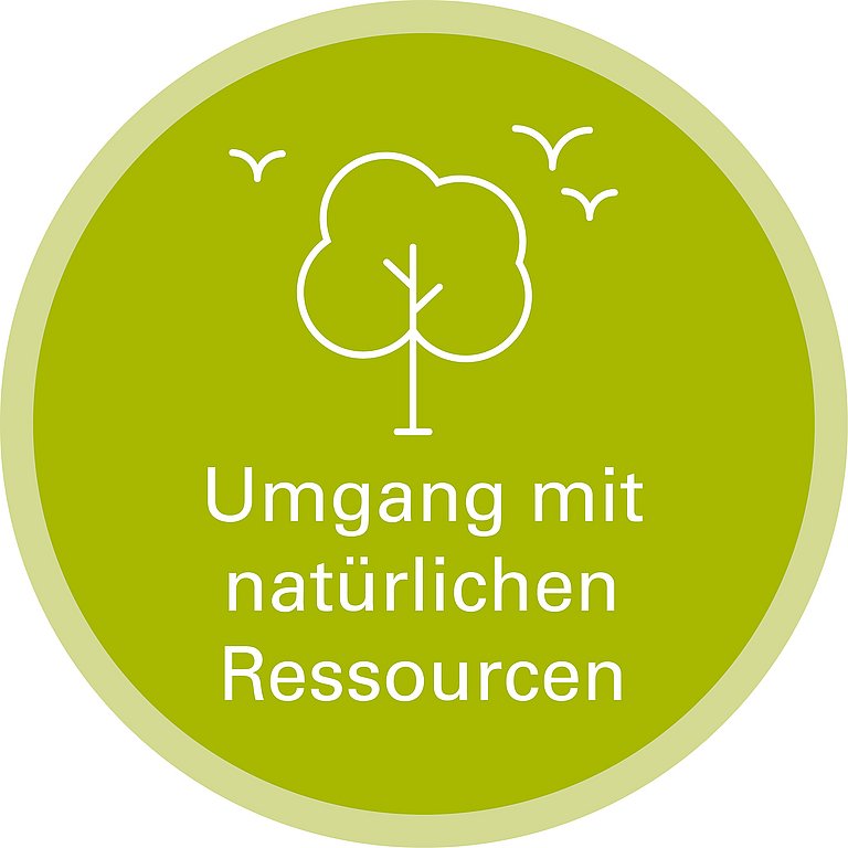Icon zu Handlungsfeld: Handlungsfeld Umgang mit natürlichen Ressourcen. Die Grafik zeigt als Strichzeichnungen einen Laubbaum und die Silhouetten von drei fliegenden Vögeln.