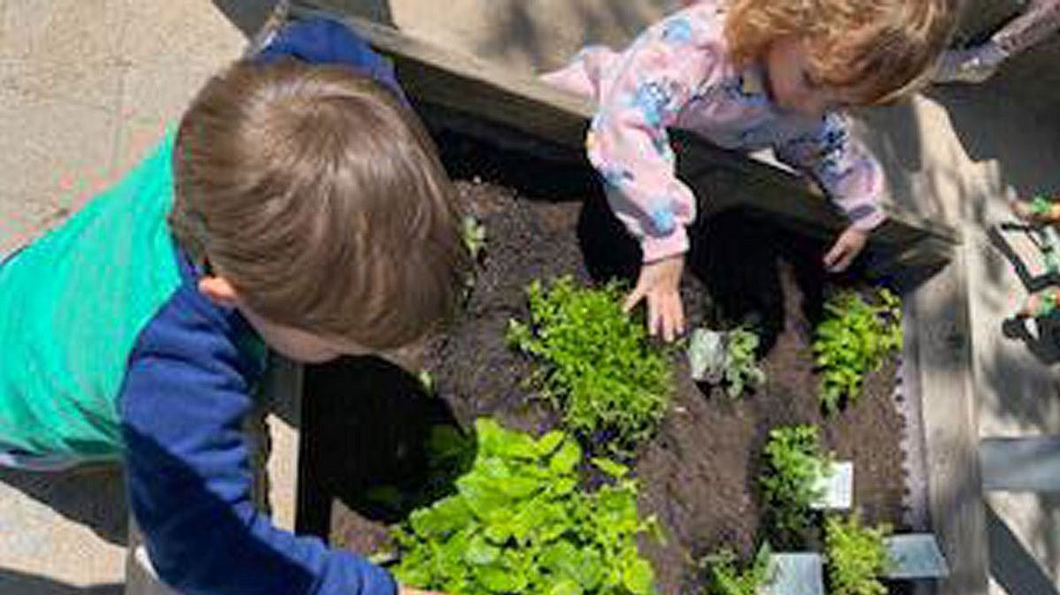 Kinder helfen mit bei der Gartenpflege (Salat, Kräuter, Blumen & Gemüse).