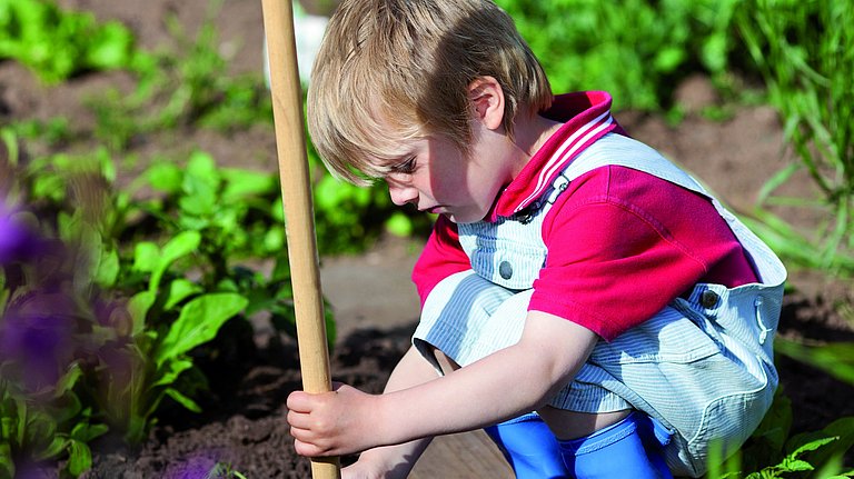 Ein kleiner Junge in Latzhose und Gummistiefer hockt an einem Gemüsebeet und bearbeitet mit einer Hacke den Boden rund um Setzlinge.