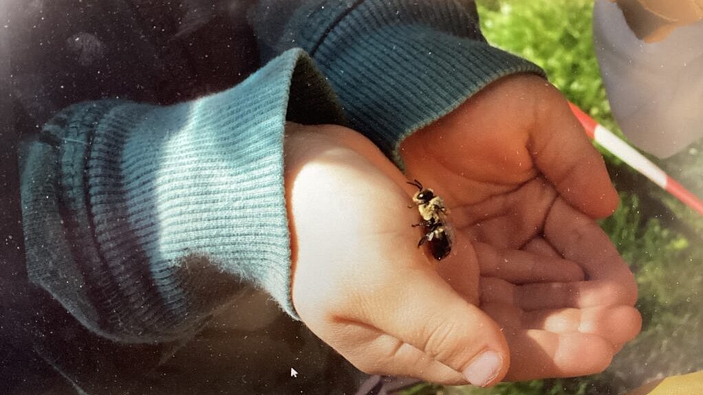 Drohne auf der Hand, kann bedenkenlos gestreichelt werden.