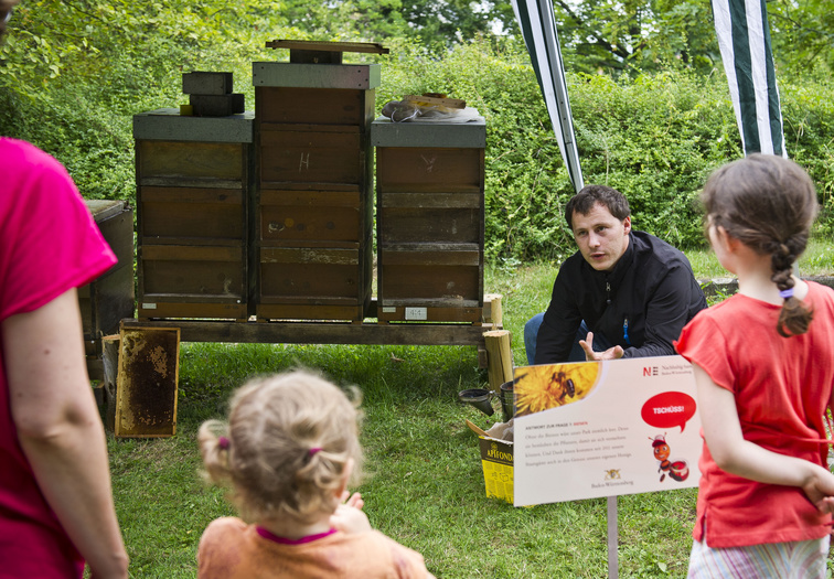 Bienenstöcke auf einer Wiese. Kinder stehen daneben und hören zu, was ein Mann erklärt.