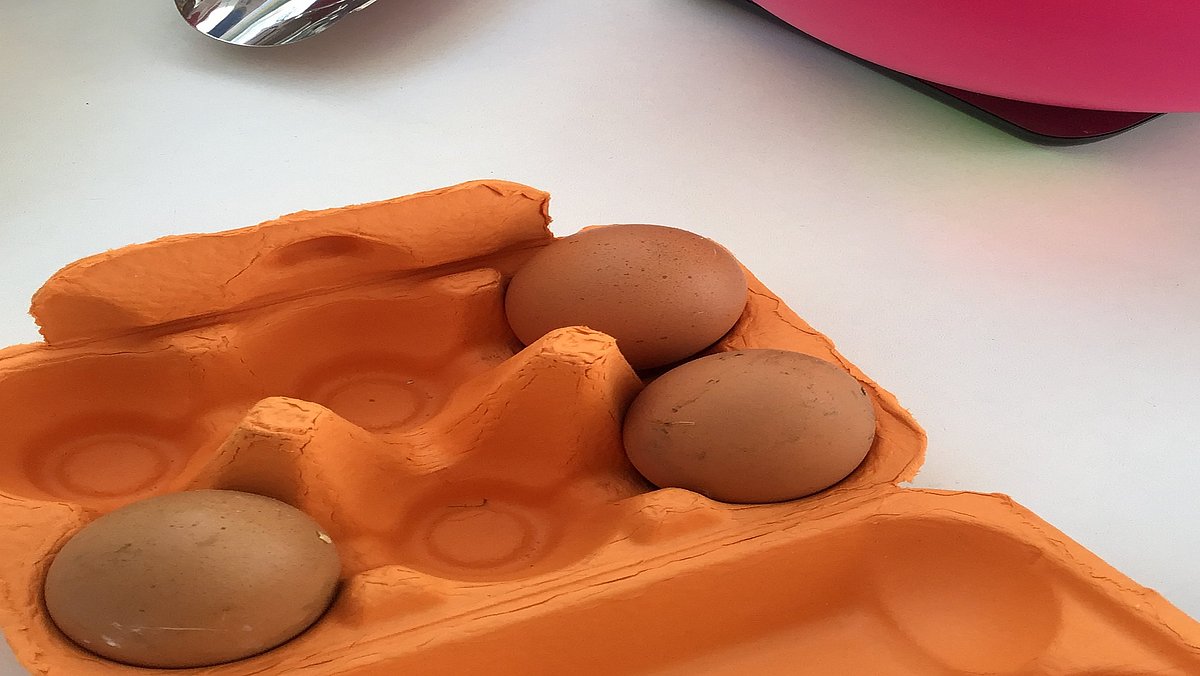 Aus den frischen Eiern zaubern wir leckere Gerichte.