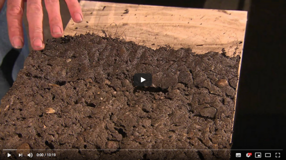 Zum Video von KIT wechseln: Stadtböden erzählen Geschichten vom