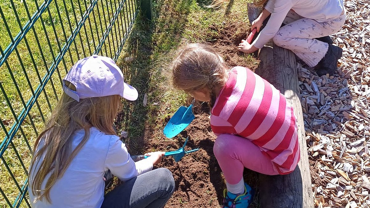 Grasnarbe für Blühfläche ausheben.