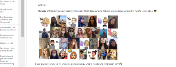 Bildschirmaufnahme der Online-Teilnehmer und -Teilnehmerinnen am Moodle-Kurs.