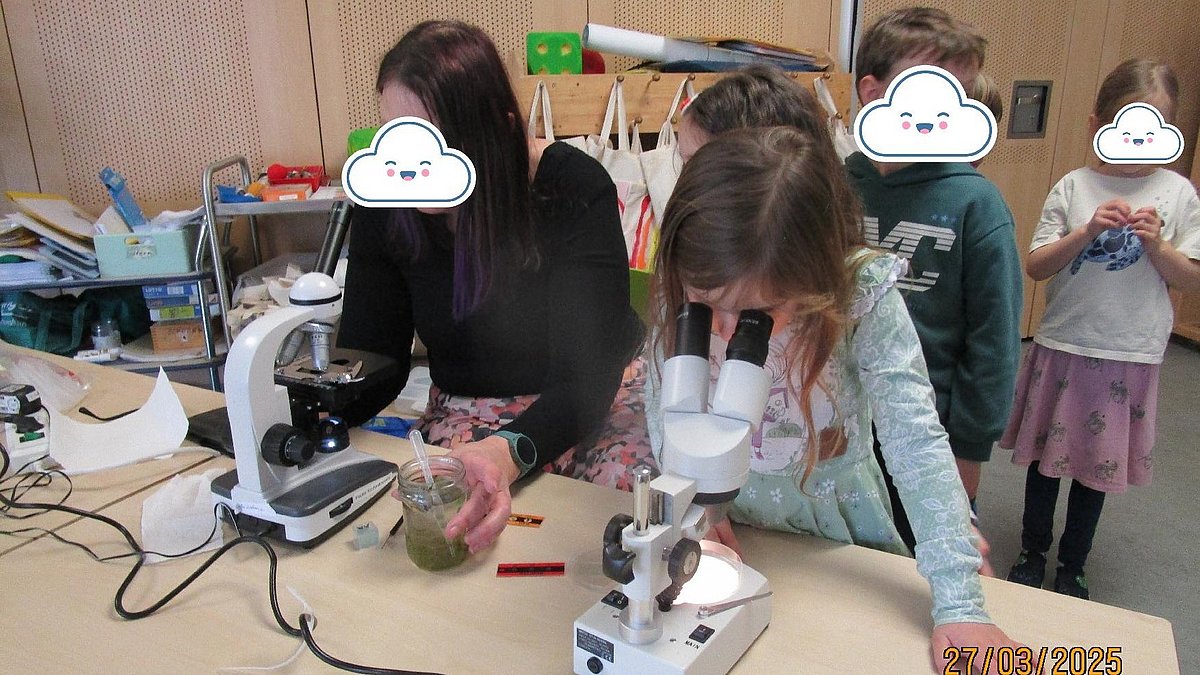 Experiment - Teichwasser beobachten und untersuchen.