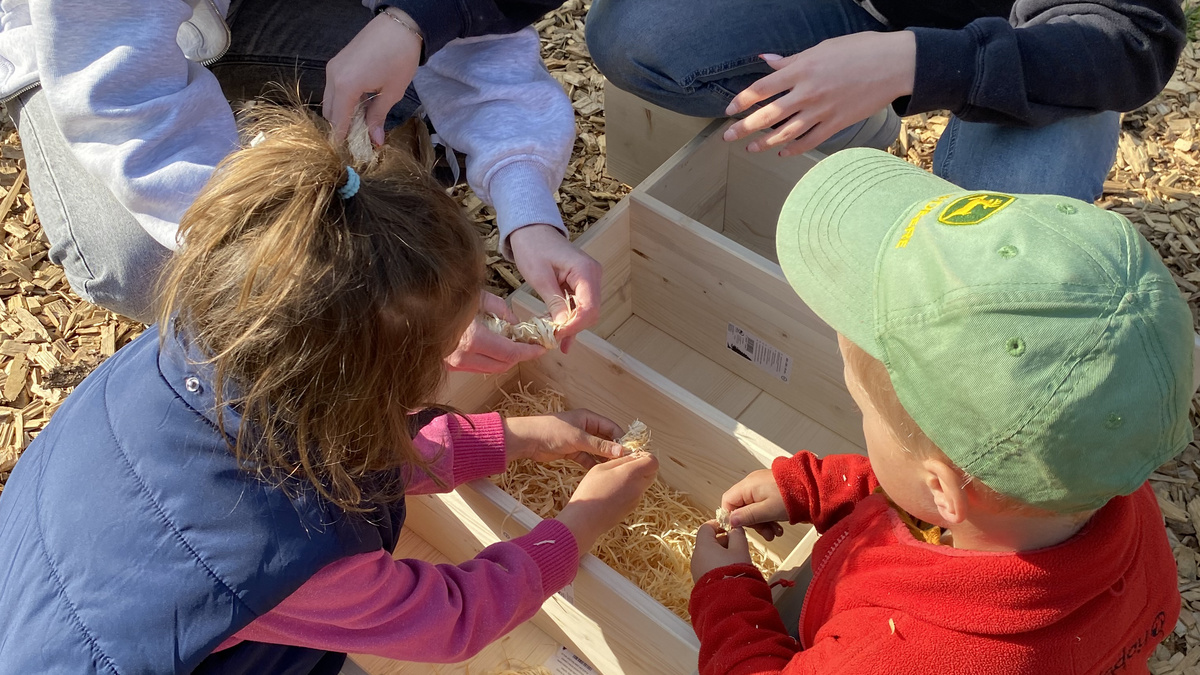 Hier füllen die Kinder das Insektenhotel mit Holzwolle.