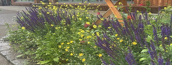 Bunte Farben dürfen natürlich auch nicht in unserem Kindergarten fehlen.