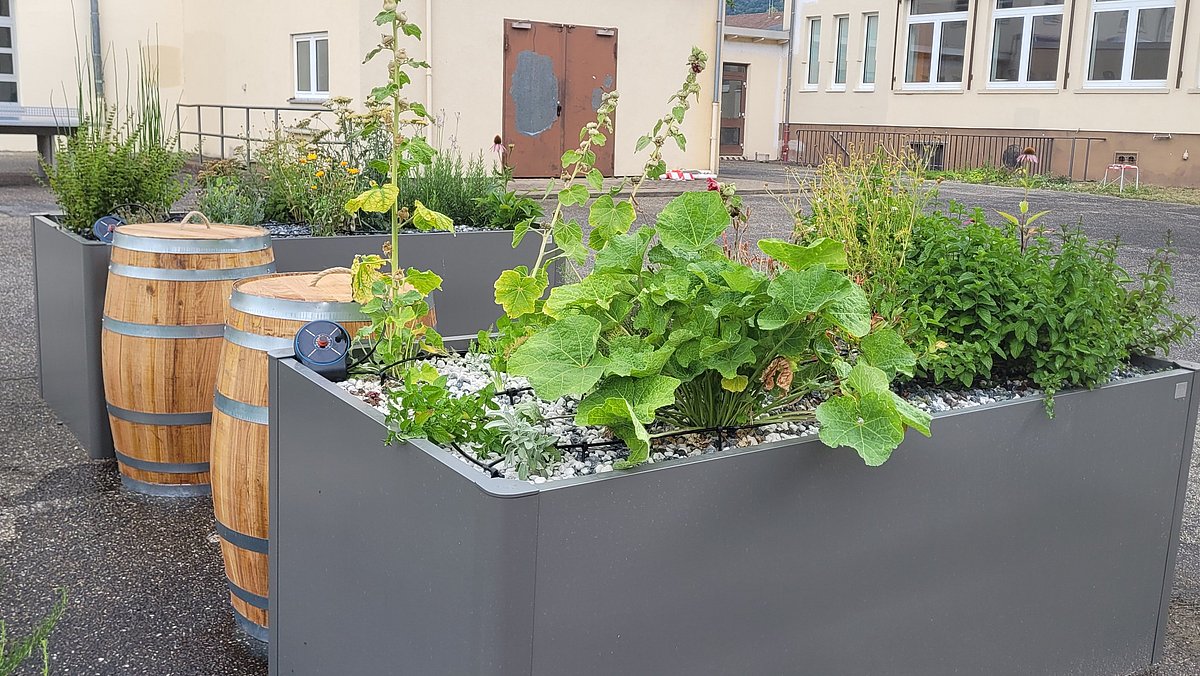 Bewässerungssystem eines Hochbeets mit Pflanzen