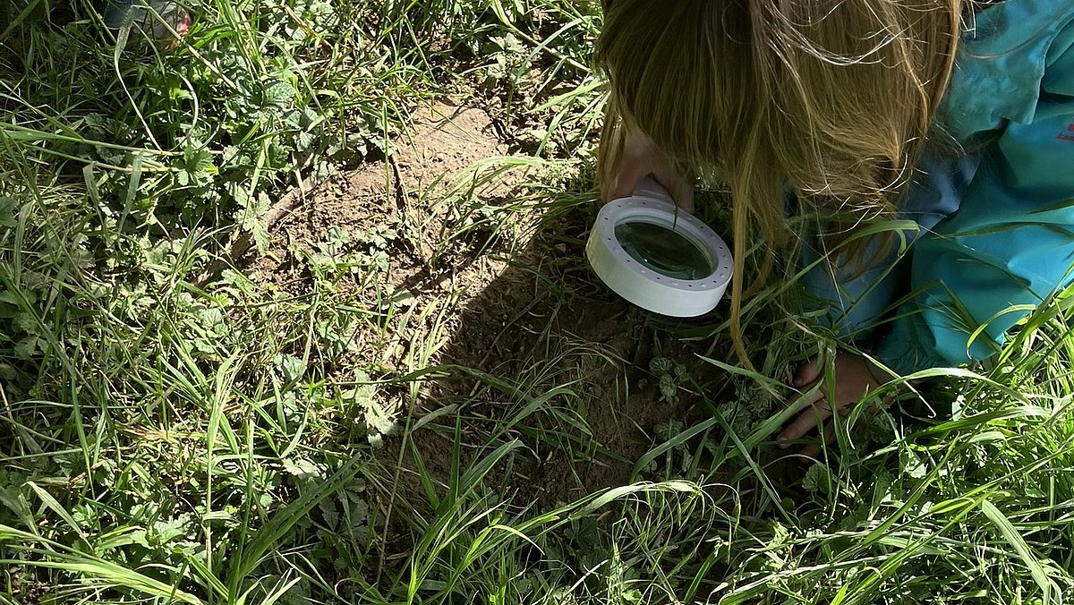 Forschen und entdecken: Welche Tiere leben hier auf wen müssen wir besonders achten?