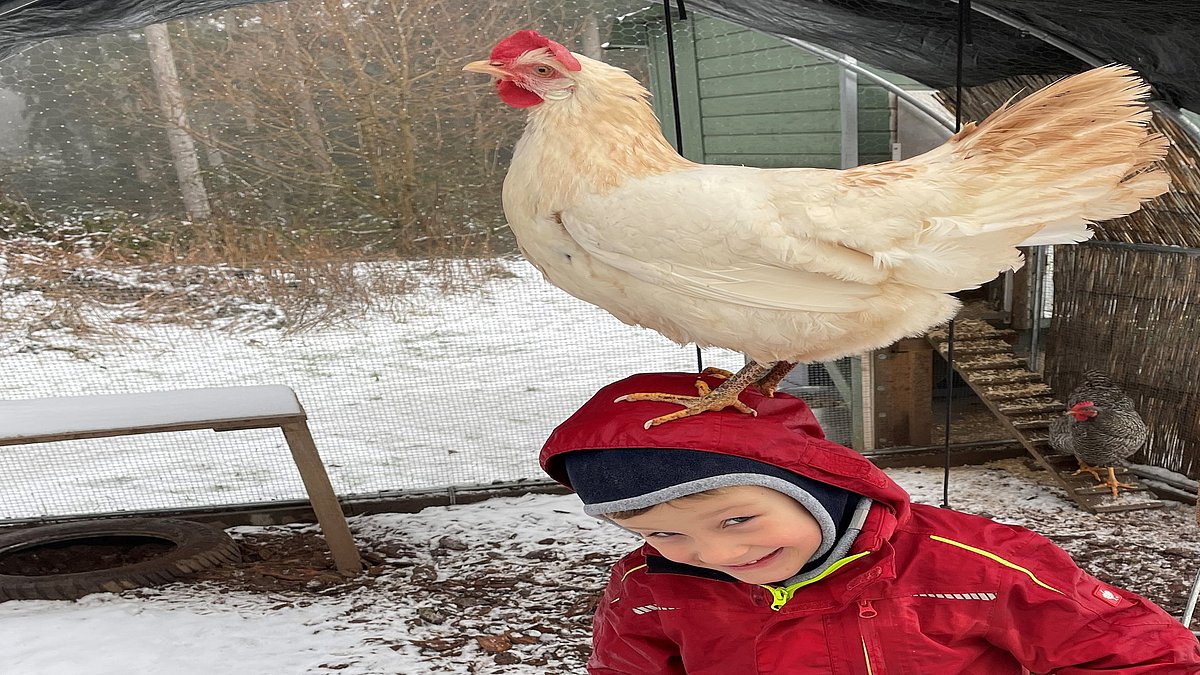 Unsere Hühner sind zahm.