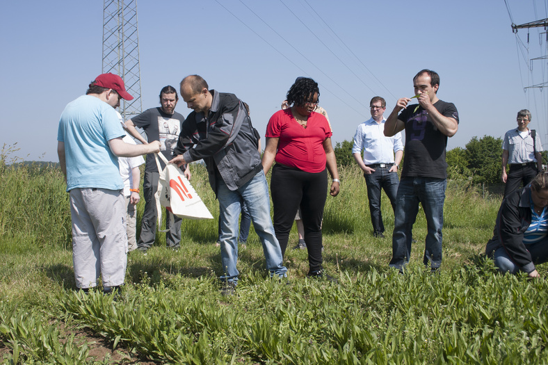 eine Gruppe von Menschen steht während einer Kräuter-Tour der Firma Schoenenberger Pflanzensäfte in einem Kräuterbeet