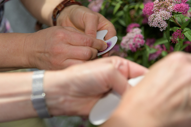 Nahaufnahme von Händen, die Blumen inspizieren