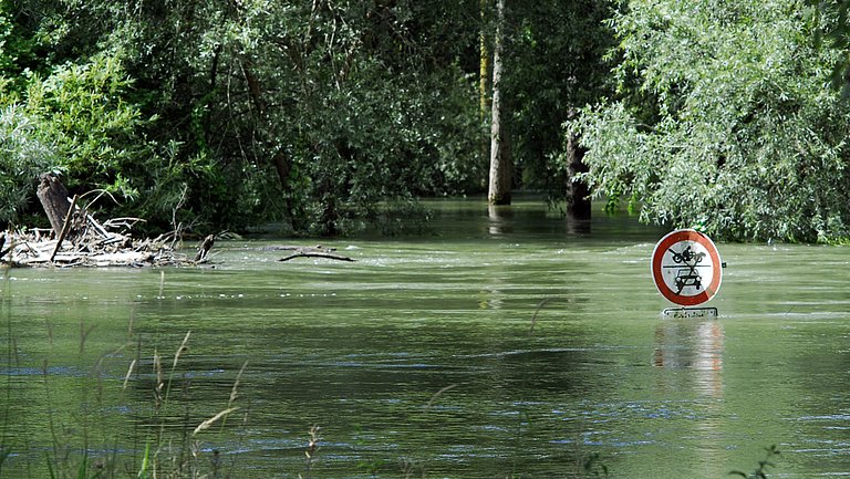 Wassermassen sind bei einem Hochwasser bis zu einem Verkehrschild angestiegen. Im Hintergrund befindet sich ein Wald.