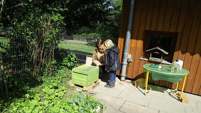 Ein erster Blick in die Kiste durch die Folie.