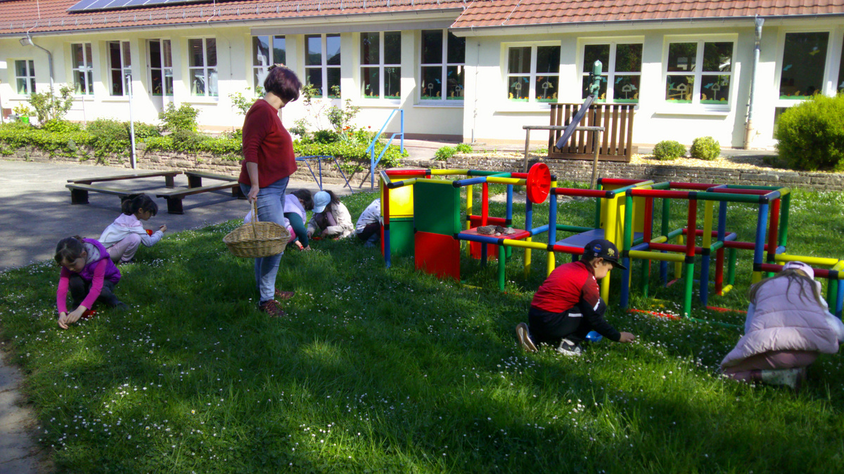 Das Kräuter sammeln im garten der Kita für das Kräuterprojekt zur Zubereitung des Kräuterquarks.