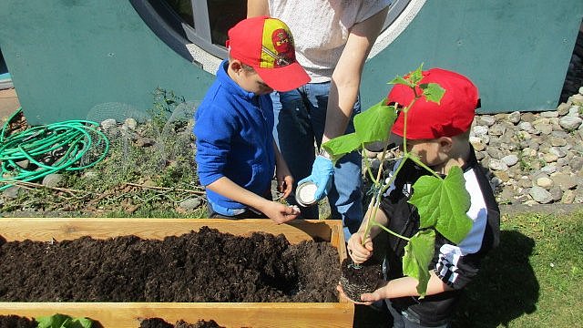Gemeinsam wurde durch Handarbeit und Fleiß unser erster Dünger für unsere Pflanzen in die Erde gestreut.