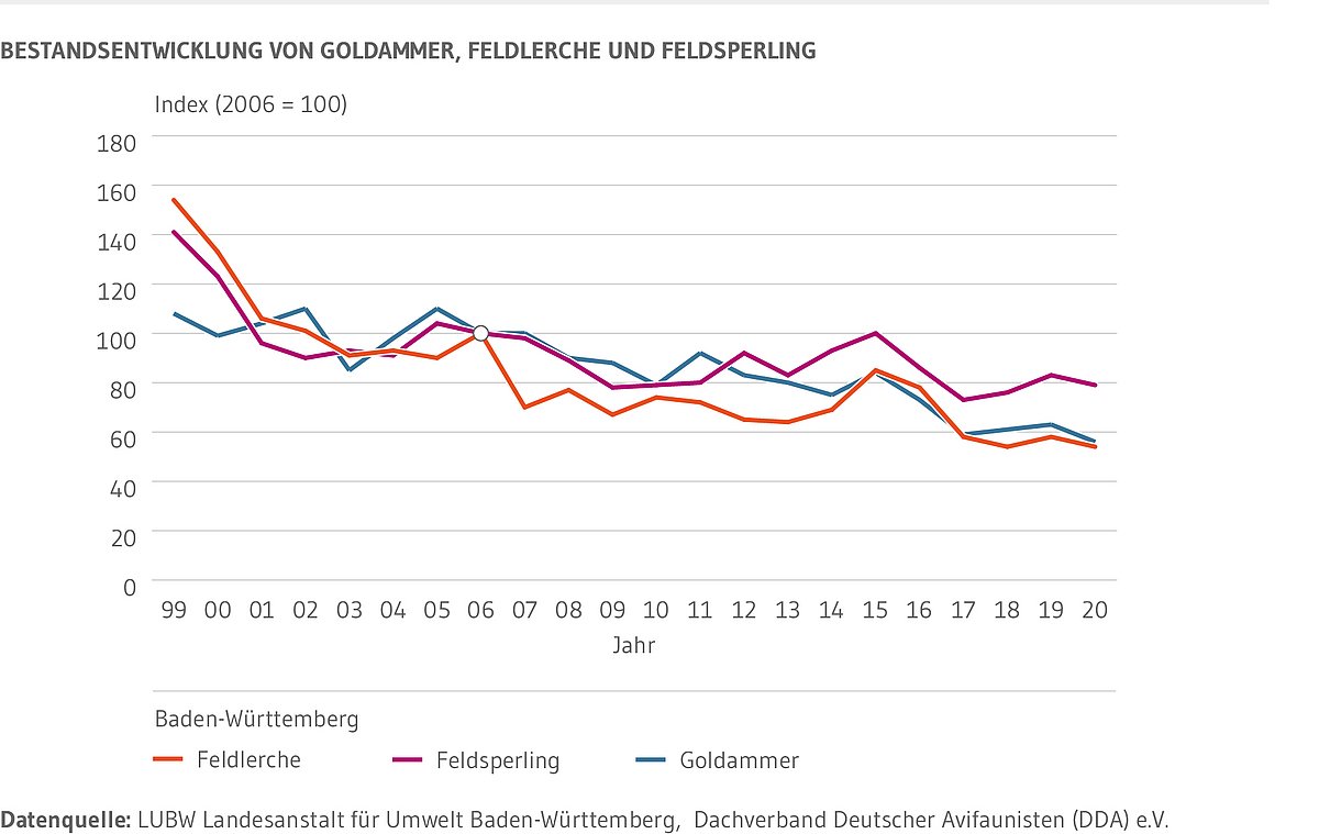 Die Bestandsentwicklung von Goldammer, Feldsperling und Feldlerche ist von 1999 bis 2009 deutlich rückläufig. Dann stagnieren die Bestände bei zum Teil deutlichen jährlichen Schwankungen. Nach einer Erholung der Bestände vor allem von Feldlerche und Feldsperling in den Jahren 2014 und 2015 ist bei allen drei Feldvogelarten erneut ein Rückgang festzustellen. In den letzten vier Jahren zeigen sich nur geringe Schwankungen. 